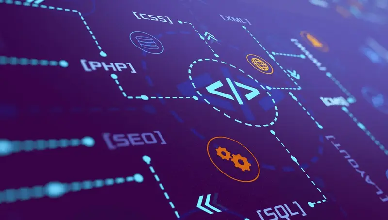 Graphic illustrating the skills offered